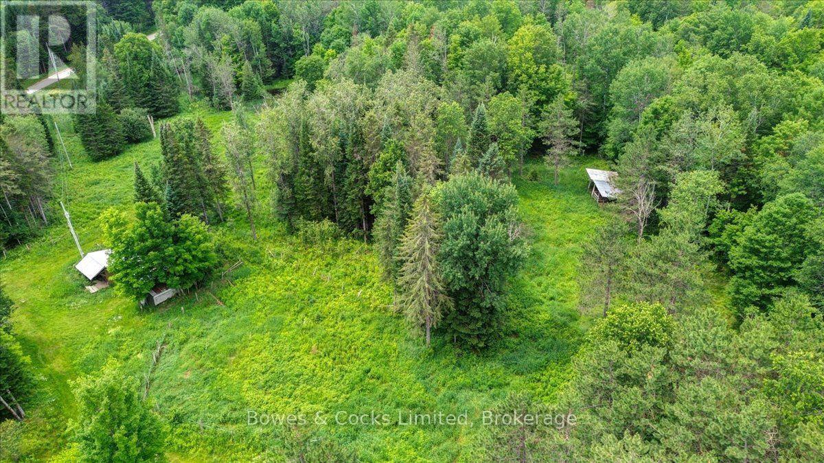 161 & 262 Colbourne Road, Bancroft (Dungannon Ward), Ontario  K0L 2L0 - Photo 42 - X13553120