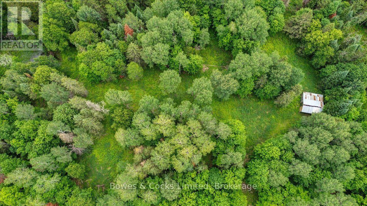 161 & 262 Colbourne Road, Bancroft (Dungannon Ward), Ontario  K0L 2L0 - Photo 43 - X13553120