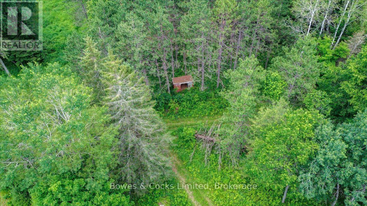 161 & 262 Colbourne Road, Bancroft (Dungannon Ward), Ontario  K0L 2L0 - Photo 47 - X13553120
