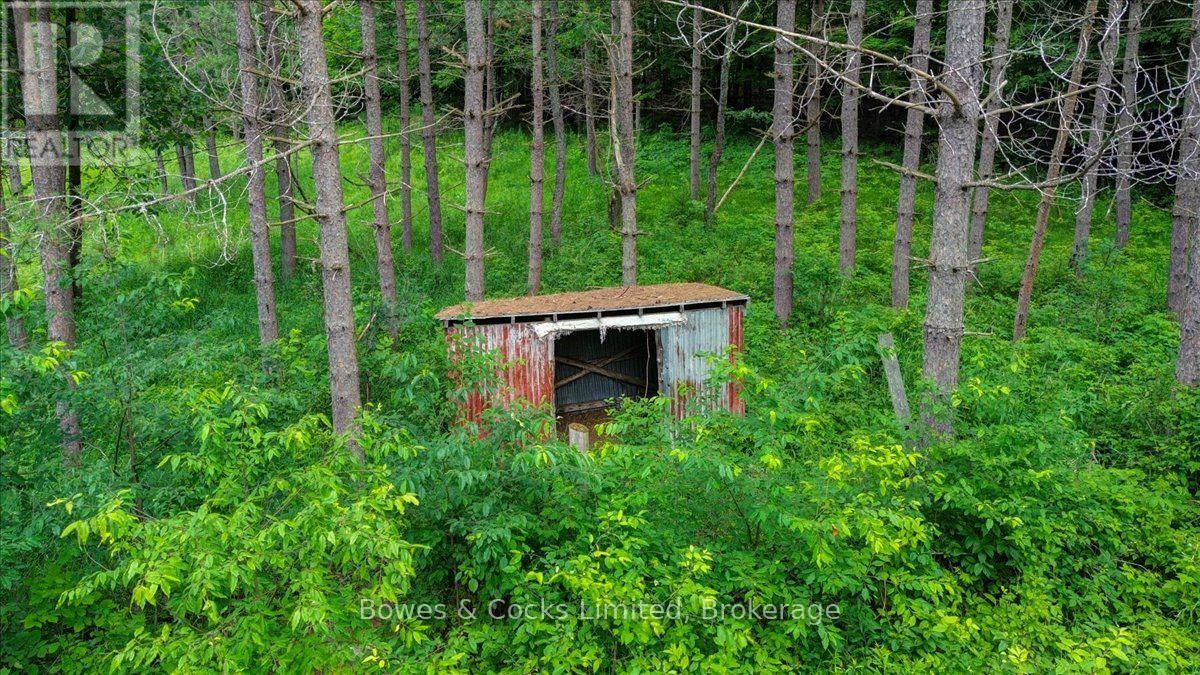 161 & 262 Colbourne Road, Bancroft (Dungannon Ward), Ontario  K0L 2L0 - Photo 48 - X13553120