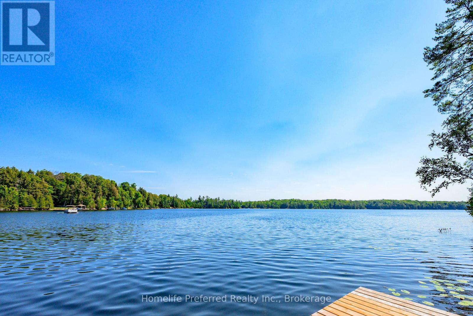 469 Skeene Road, Marmora And Lake (Marmora Ward), Ontario  K0L 1W0 - Photo 11 - X13554964
