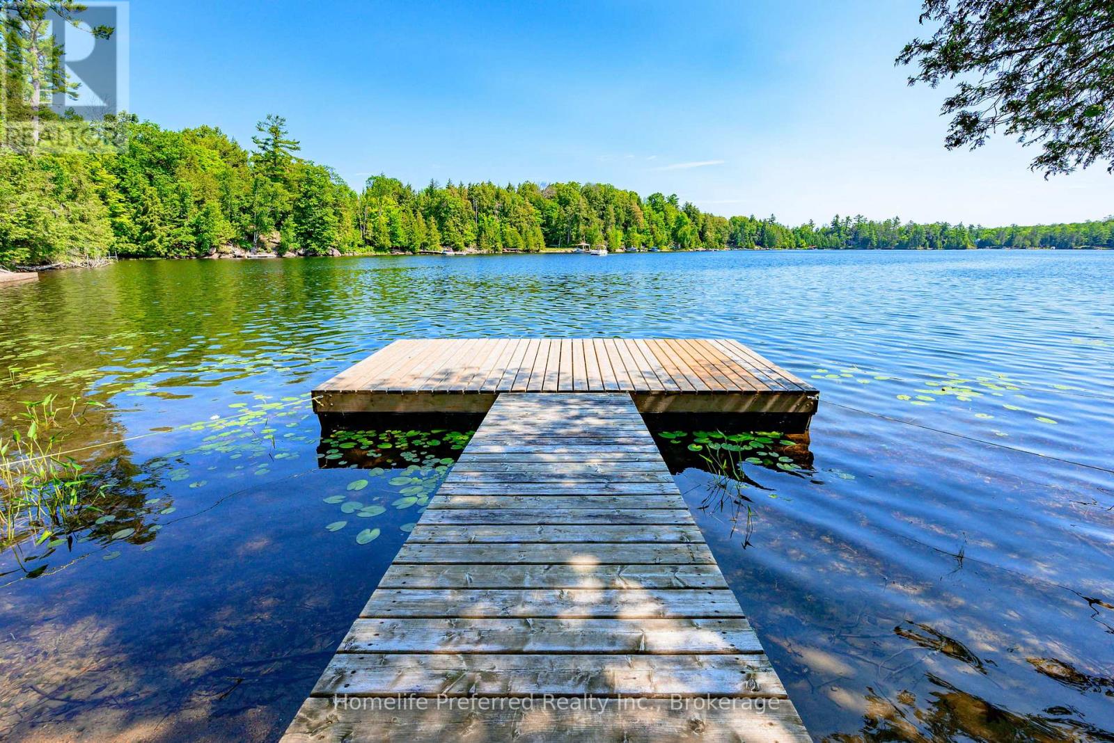 469 Skene Road, Marmora And Lake (Marmora Ward), Ontario  K0L 1W0 - Photo 42 - X13554964