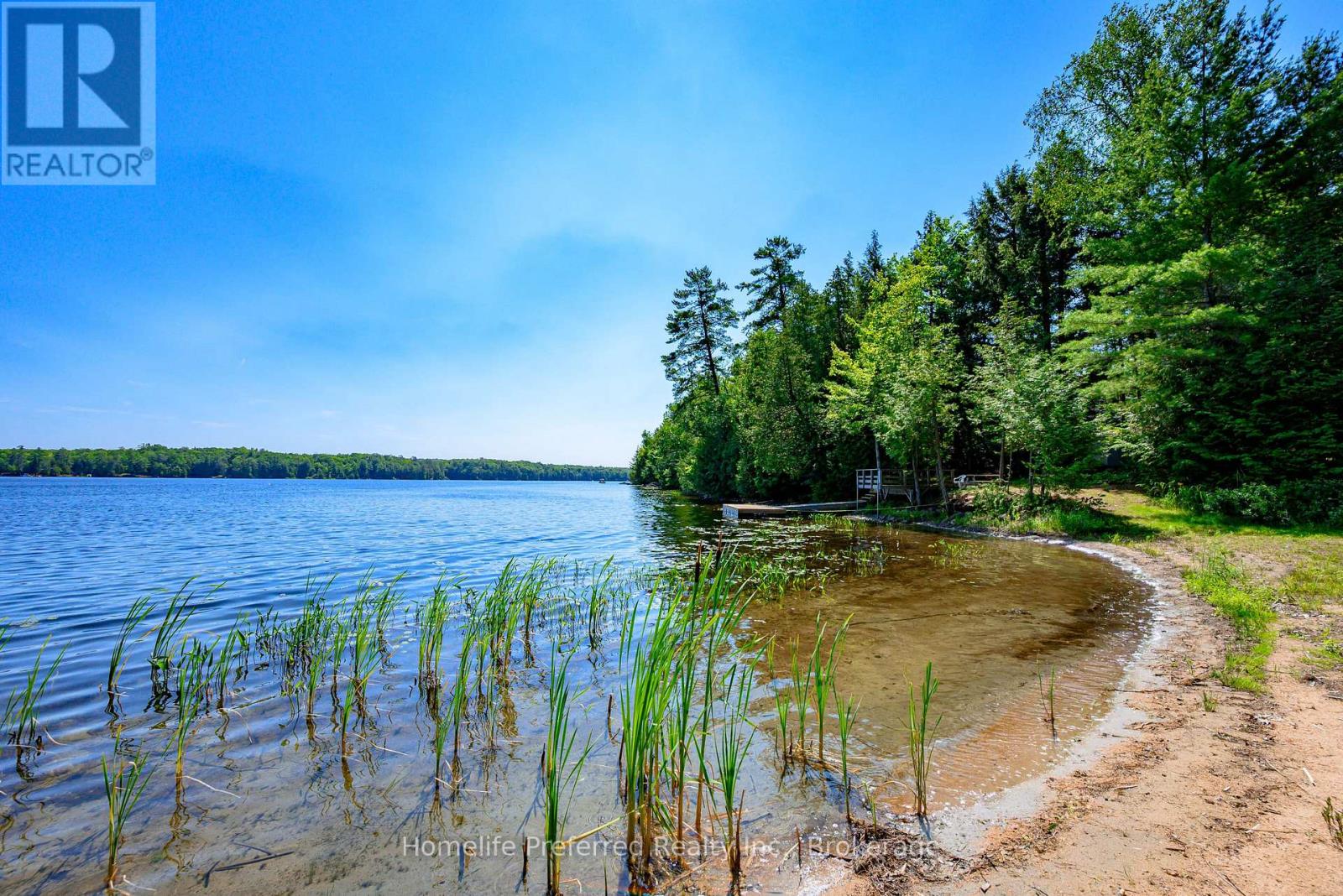 469 Skene Road, Marmora And Lake (Marmora Ward), Ontario  K0L 1W0 - Photo 49 - X13554964