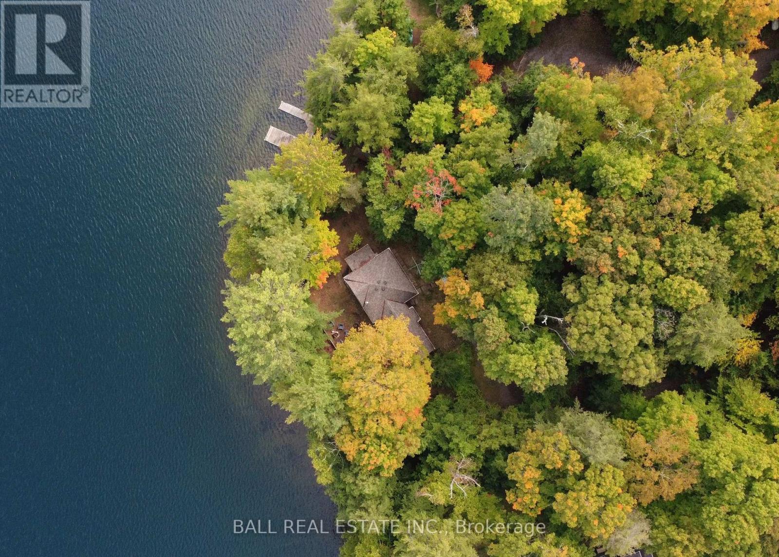 551 Renwick Road, North Kawartha, Ontario  K0L 1A0 - Photo 2 - X13556028