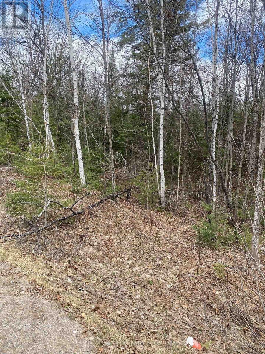 0 Madawaska Road, Hastings Highlands (Wicklow Ward), Ontario  K0L 2S0 - Photo 2 - X13557014