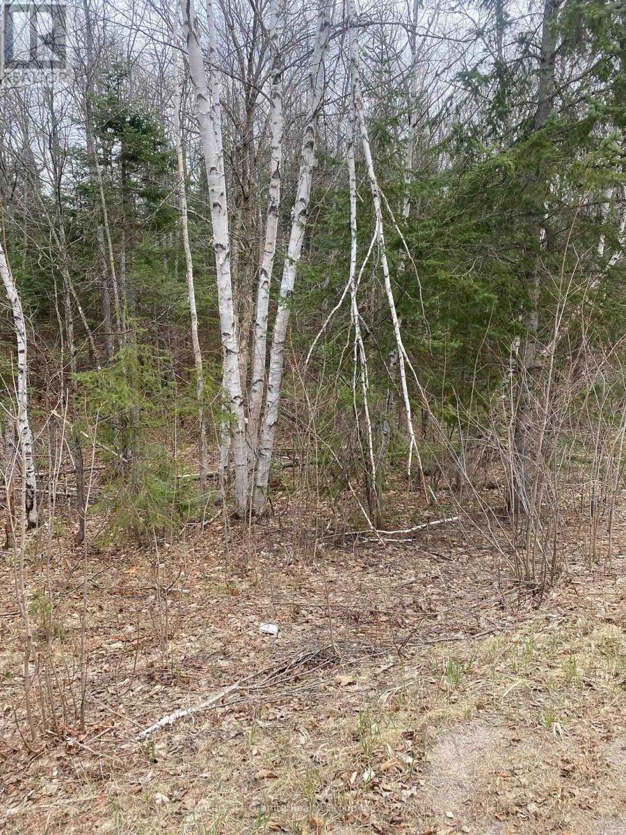 0 Madawaska Road, Hastings Highlands (Wicklow Ward), Ontario  K0L 2S0 - Photo 3 - X13557014