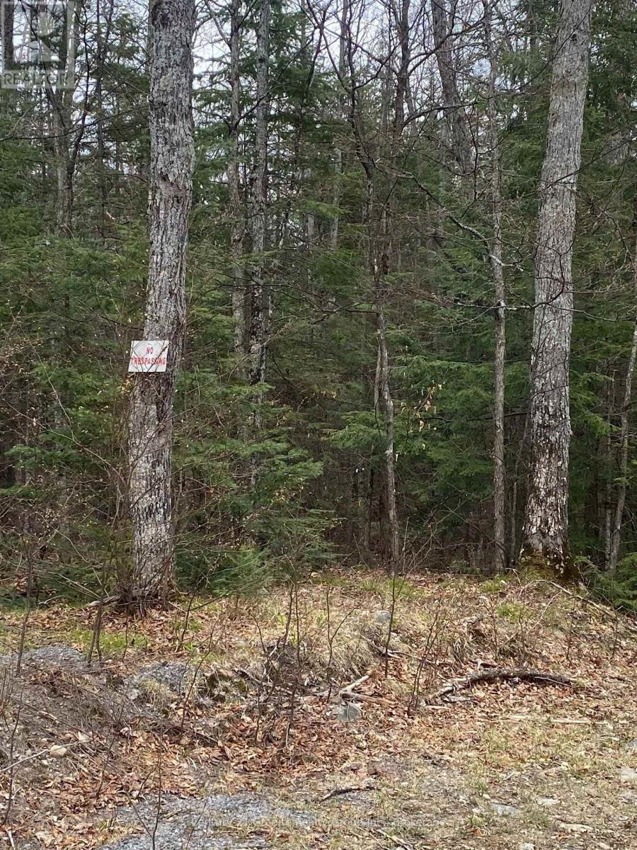 0 Madawaska Road, Hastings Highlands (Wicklow Ward), Ontario  K0L 2S0 - Photo 5 - X13557014