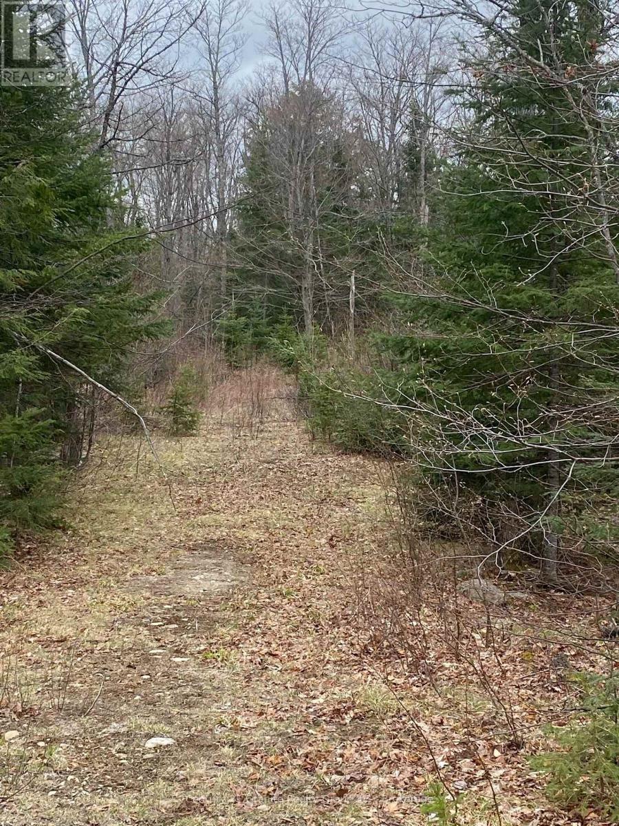 0 Madawaska Road, Hastings Highlands (Wicklow Ward), Ontario  K0L 2S0 - Photo 6 - X13557014