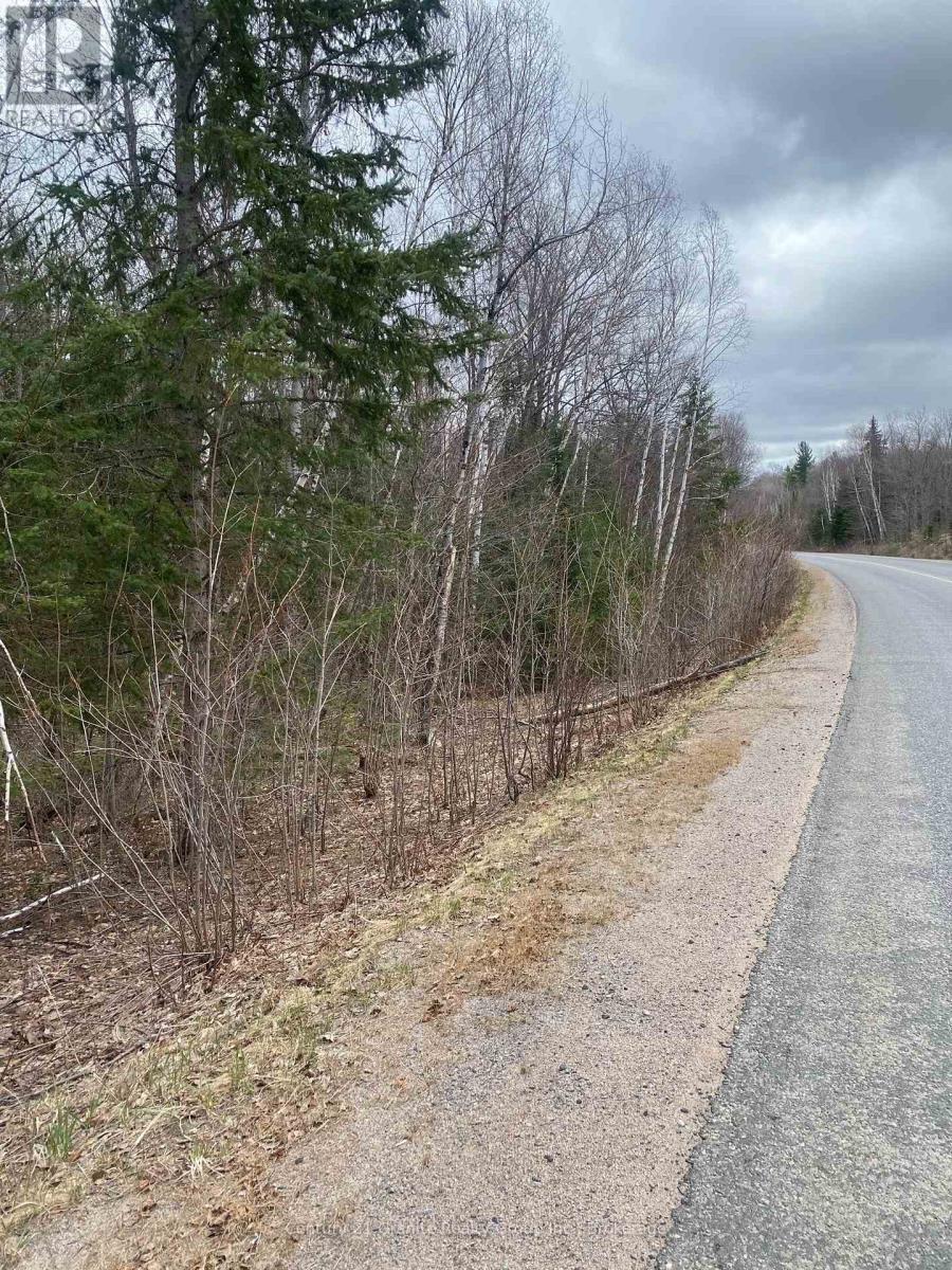 0 Madawaska Road, Hastings Highlands (Wicklow Ward), Ontario  K0L 2S0 - Photo 7 - X13557014