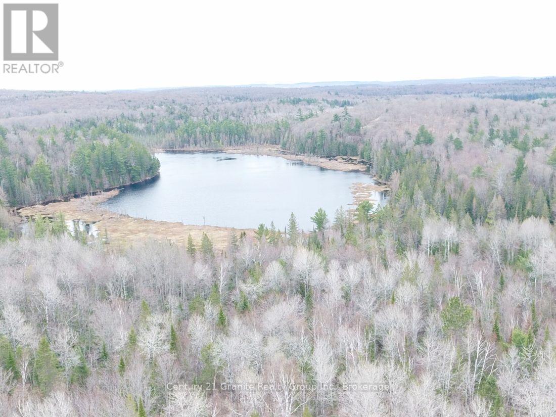 2057 MADAWASKA ROAD, hastings highlands (wicklow ward), Ontario