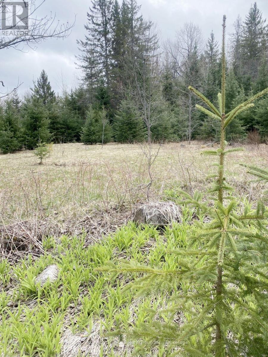 2057 Madawaska Road, Hastings Highlands (Wicklow Ward), Ontario  K0L 2S0 - Photo 10 - X13557356