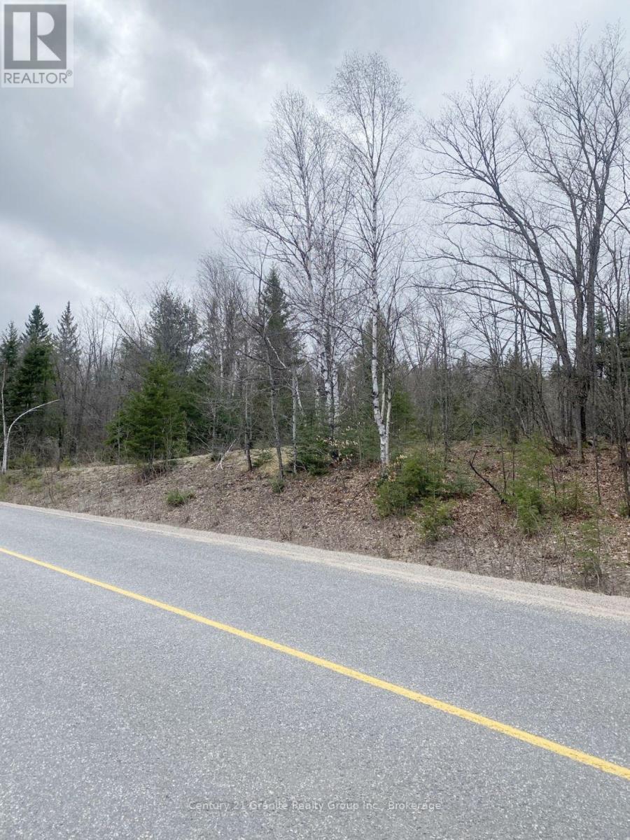 2057 Madawaska Road, Hastings Highlands (Wicklow Ward), Ontario  K0L 2S0 - Photo 12 - X13557356