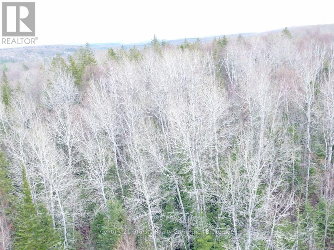 2057 Madawaska Road, Hastings Highlands (Wicklow Ward), Ontario  K0L 2S0 - Photo 13 - X13557356