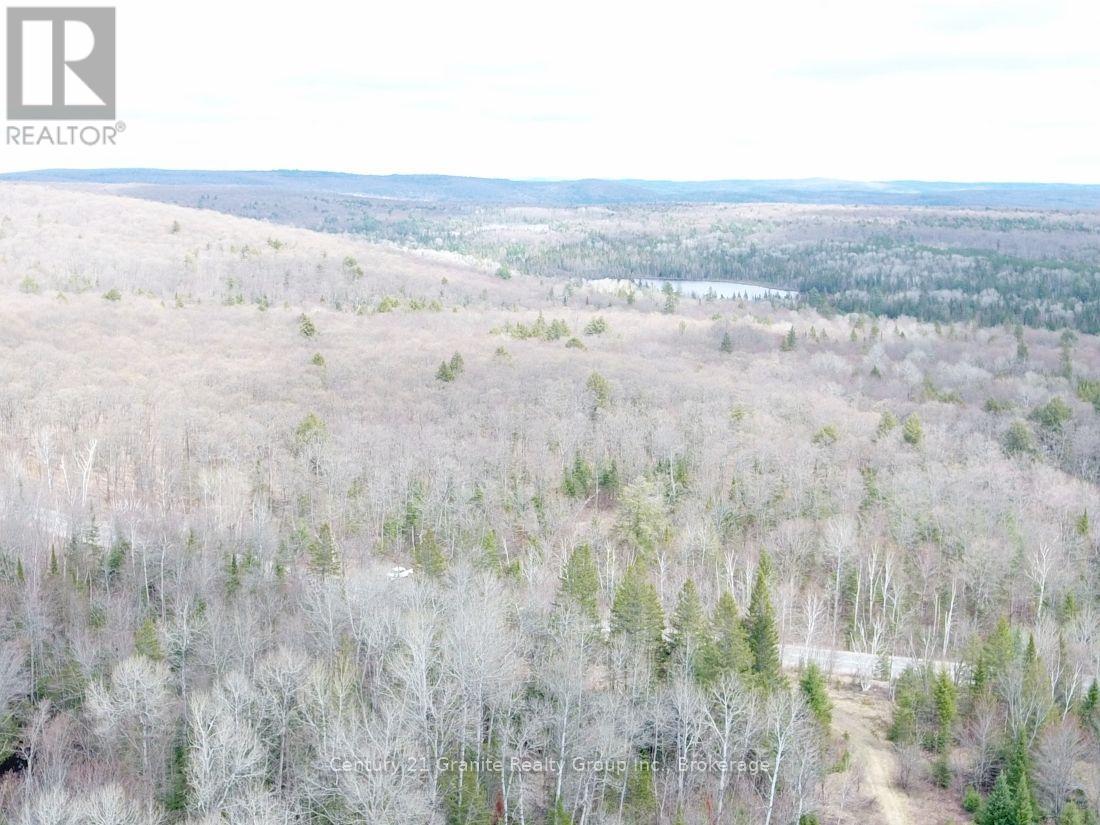 2057 Madawaska Road, Hastings Highlands (Wicklow Ward), Ontario  K0L 2S0 - Photo 15 - X13557356