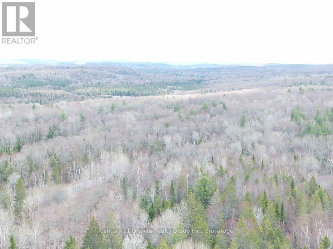 2057 Madawaska Road, Hastings Highlands (Wicklow Ward), Ontario  K0L 2S0 - Photo 16 - X13557356