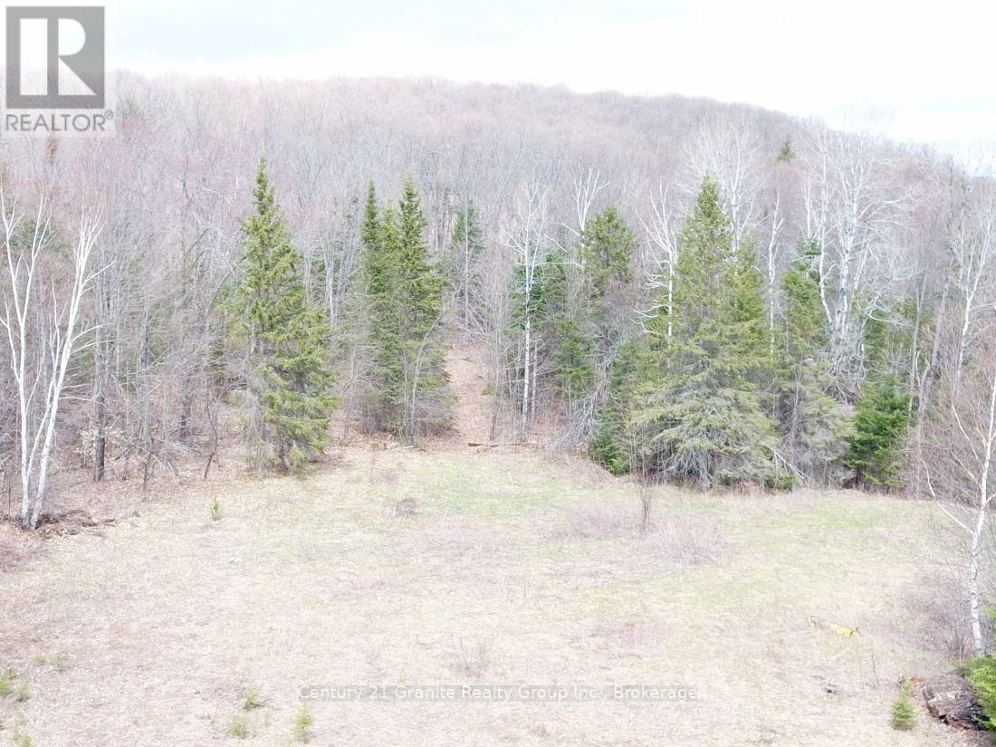 2057 Madawaska Road, Hastings Highlands (Wicklow Ward), Ontario  K0L 2S0 - Photo 18 - X13557356