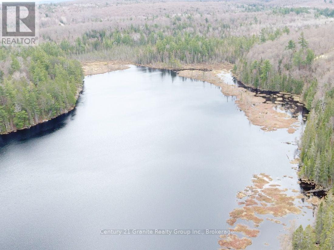 2057 Madawaska Road, Hastings Highlands (Wicklow Ward), Ontario  K0L 2S0 - Photo 19 - X13557356