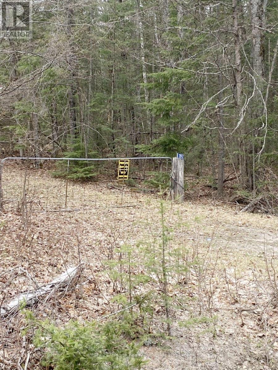 2057 Madawaska Road, Hastings Highlands (Wicklow Ward), Ontario  K0L 2S0 - Photo 2 - X13557356
