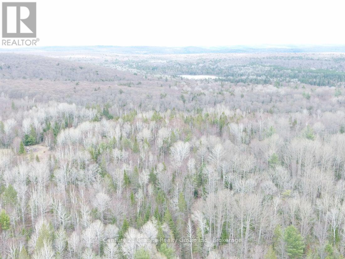 2057 Madawaska Road, Hastings Highlands (Wicklow Ward), Ontario  K0L 2S0 - Photo 21 - X13557356
