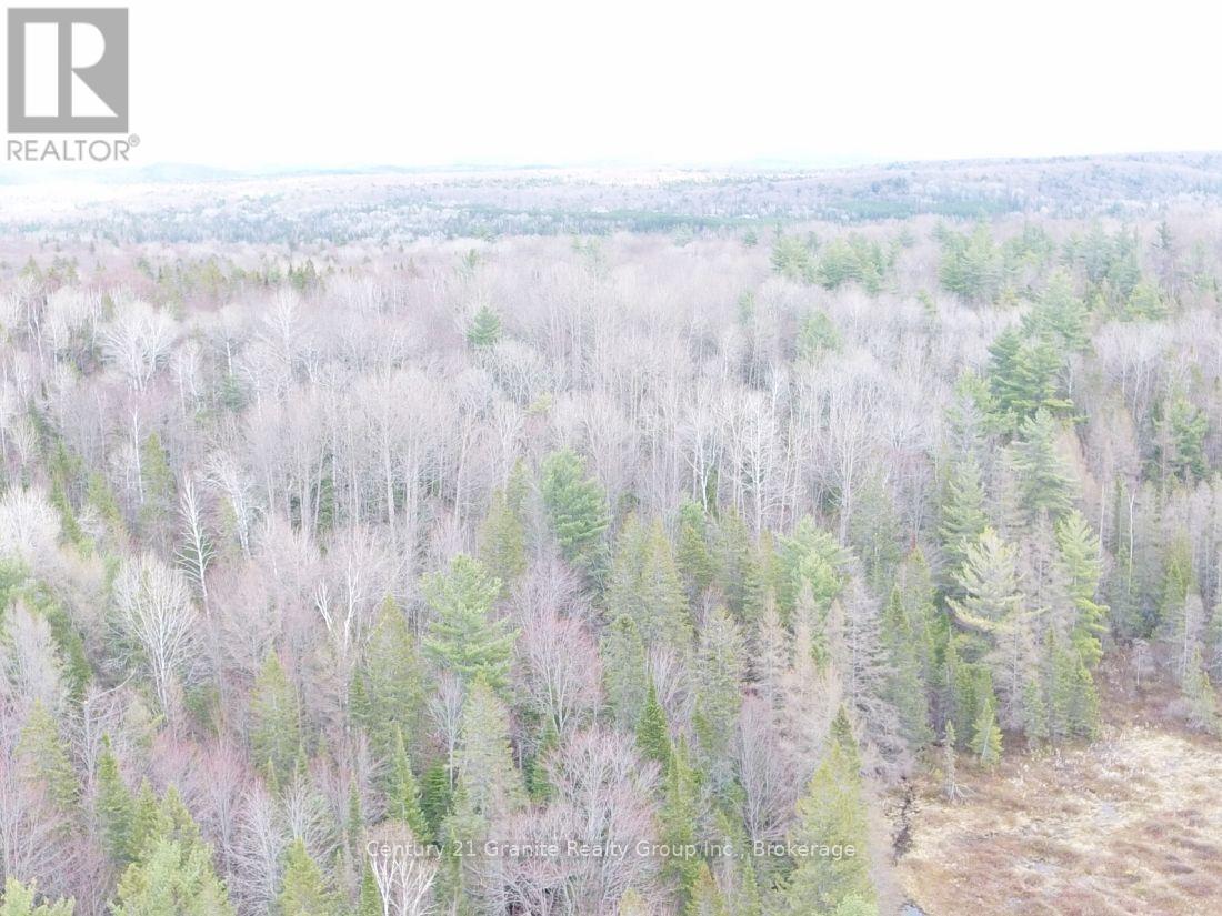 2057 Madawaska Road, Hastings Highlands (Wicklow Ward), Ontario  K0L 2S0 - Photo 23 - X13557356