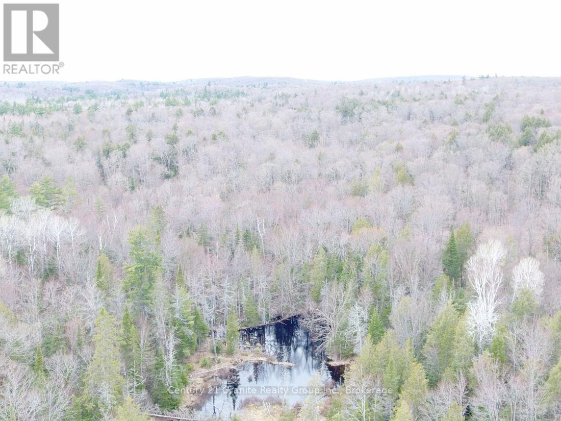 2057 Madawaska Road, Hastings Highlands (Wicklow Ward), Ontario  K0L 2S0 - Photo 24 - X13557356