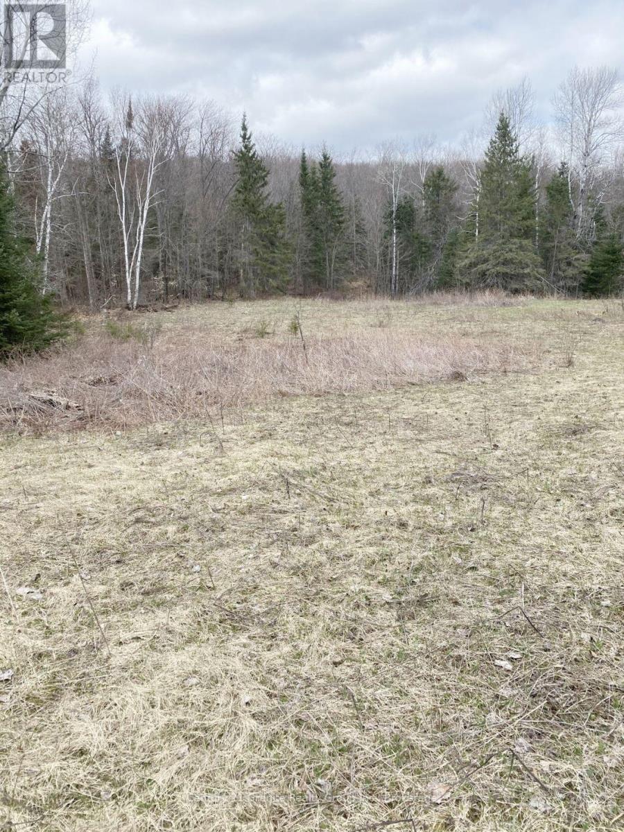 2057 Madawaska Road, Hastings Highlands (Wicklow Ward), Ontario  K0L 2S0 - Photo 3 - X13557356