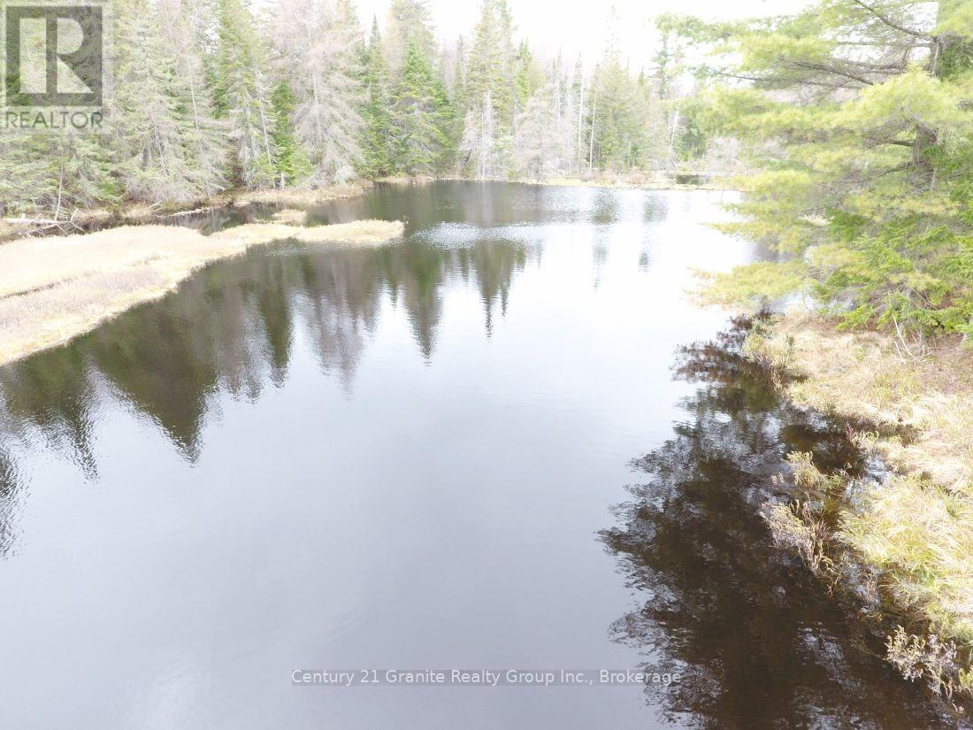 2057 Madawaska Road, Hastings Highlands (Wicklow Ward), Ontario  K0L 2S0 - Photo 31 - X13557356
