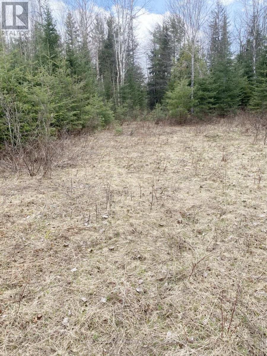 2057 Madawaska Road, Hastings Highlands (Wicklow Ward), Ontario  K0L 2S0 - Photo 4 - X13557356