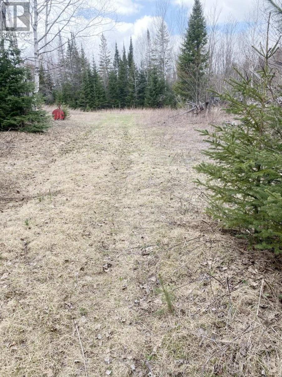 2057 Madawaska Road, Hastings Highlands (Wicklow Ward), Ontario  K0L 2S0 - Photo 6 - X13557356