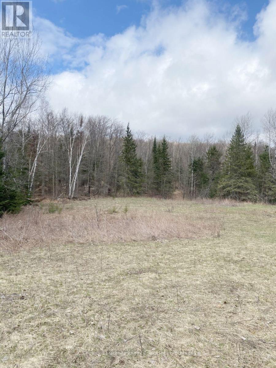 2057 Madawaska Road, Hastings Highlands (Wicklow Ward), Ontario  K0L 2S0 - Photo 7 - X13557356