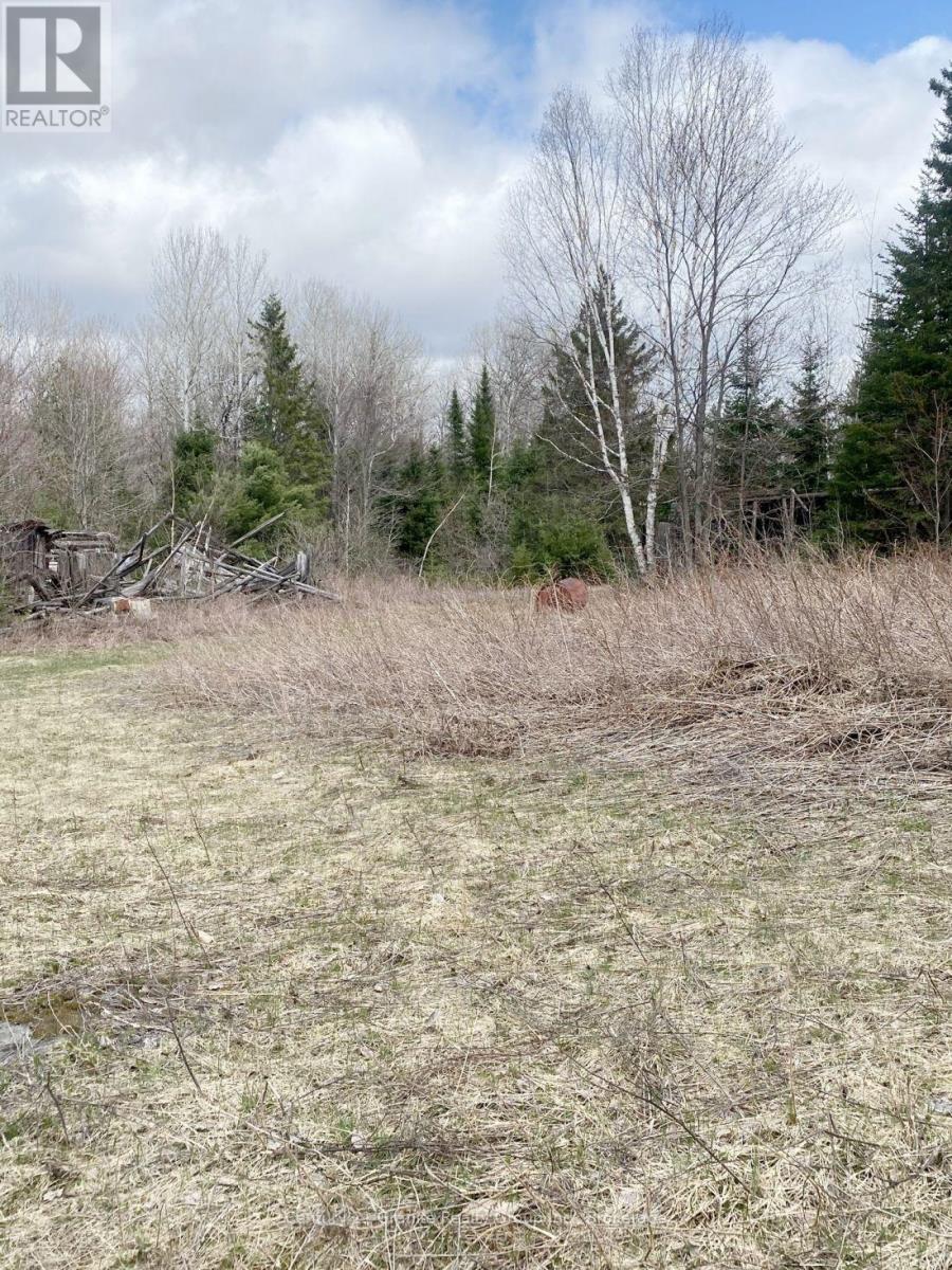 2057 Madawaska Road, Hastings Highlands (Wicklow Ward), Ontario  K0L 2S0 - Photo 8 - X13557356