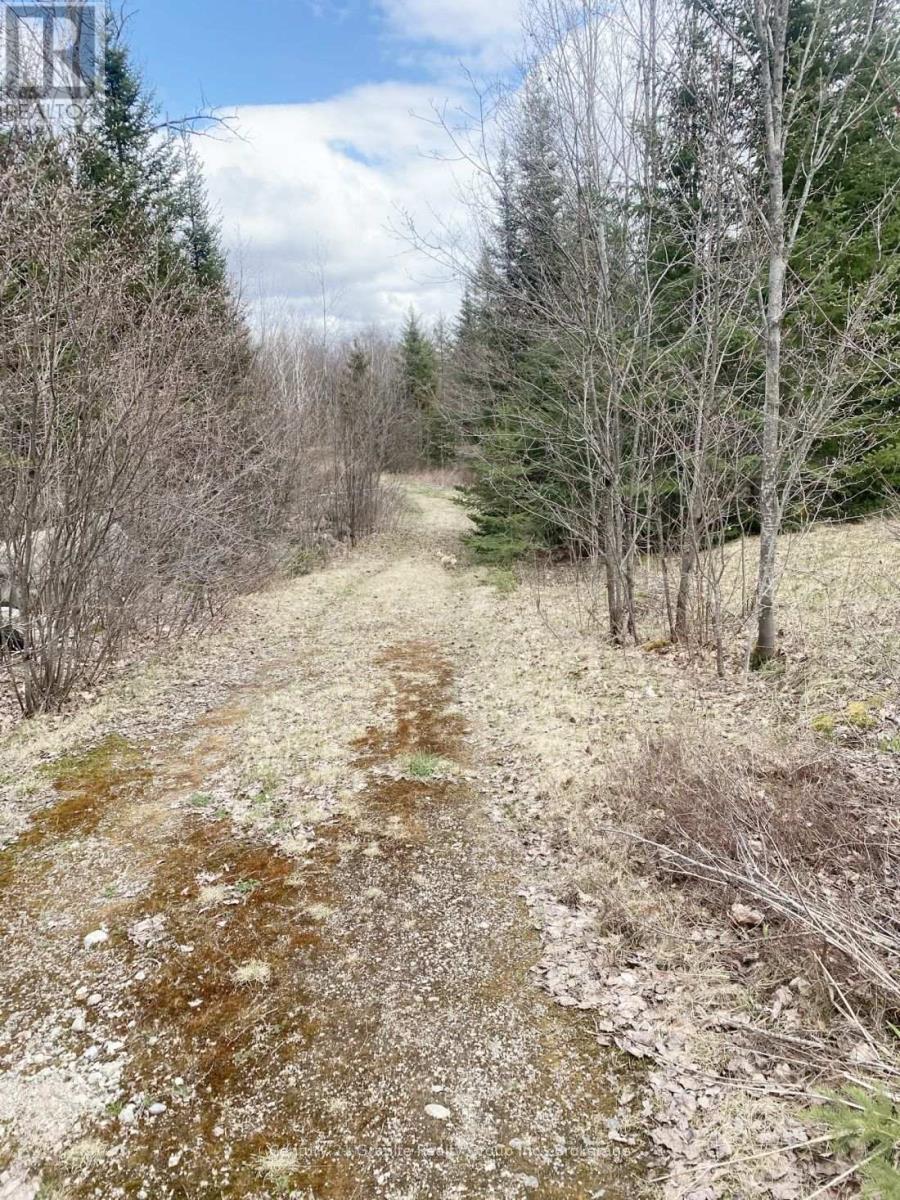 2057 Madawaska Road, Hastings Highlands (Wicklow Ward), Ontario  K0L 2S0 - Photo 9 - X13557356