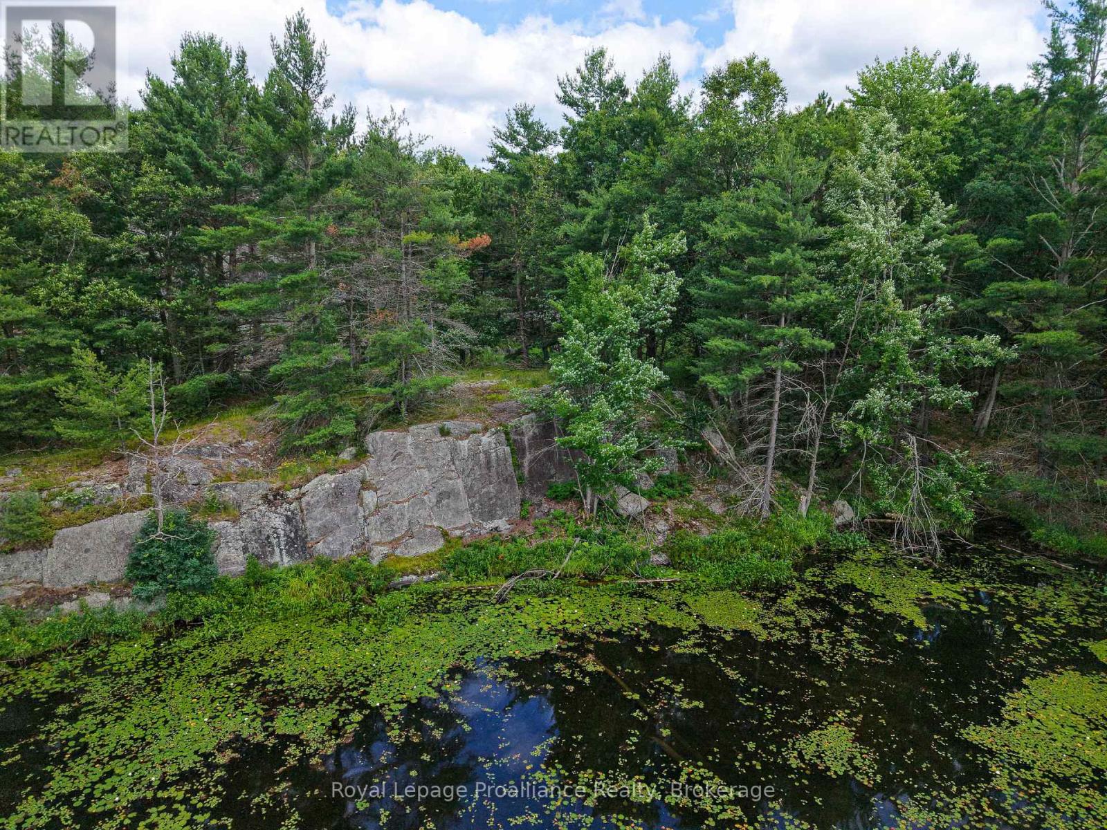 1 Wao Kasshabog Lake, Havelock-Belmont-Methuen, Ontario  K0L 2H0 - Photo 13 - X13558626