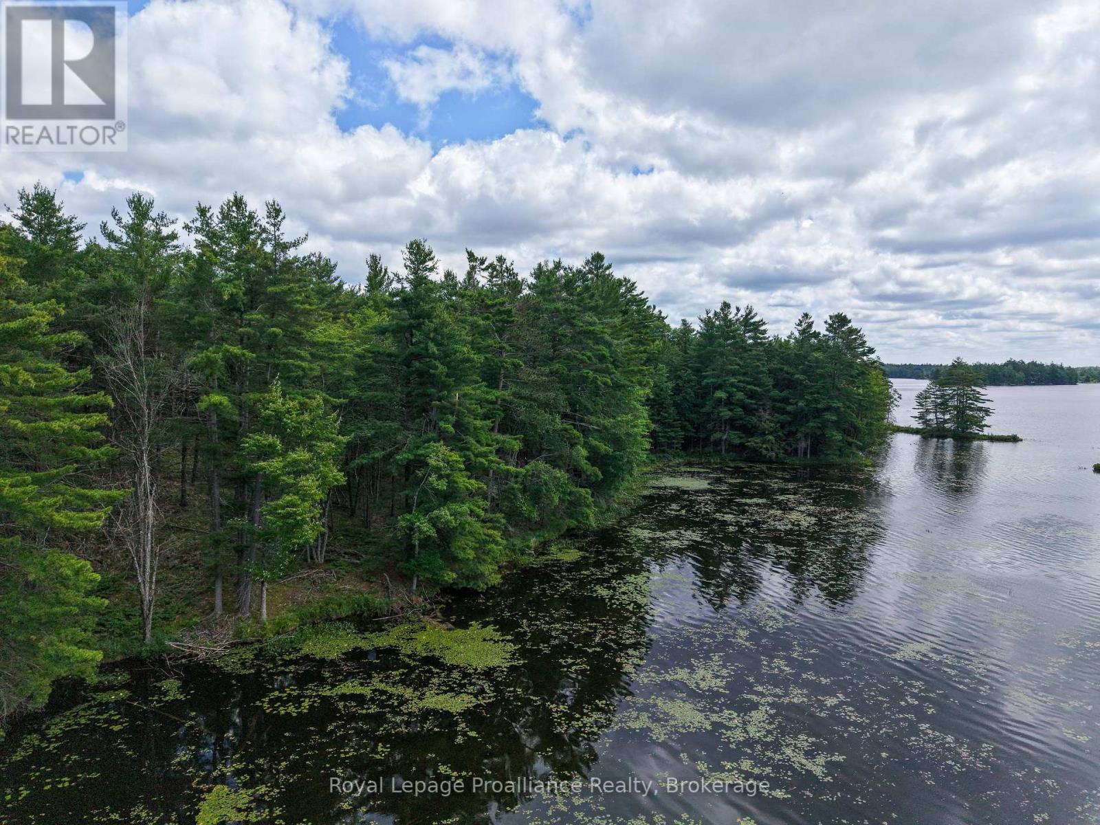 1 Wao Kasshabog Lake, Havelock-Belmont-Methuen, Ontario  K0L 2H0 - Photo 14 - X13558626
