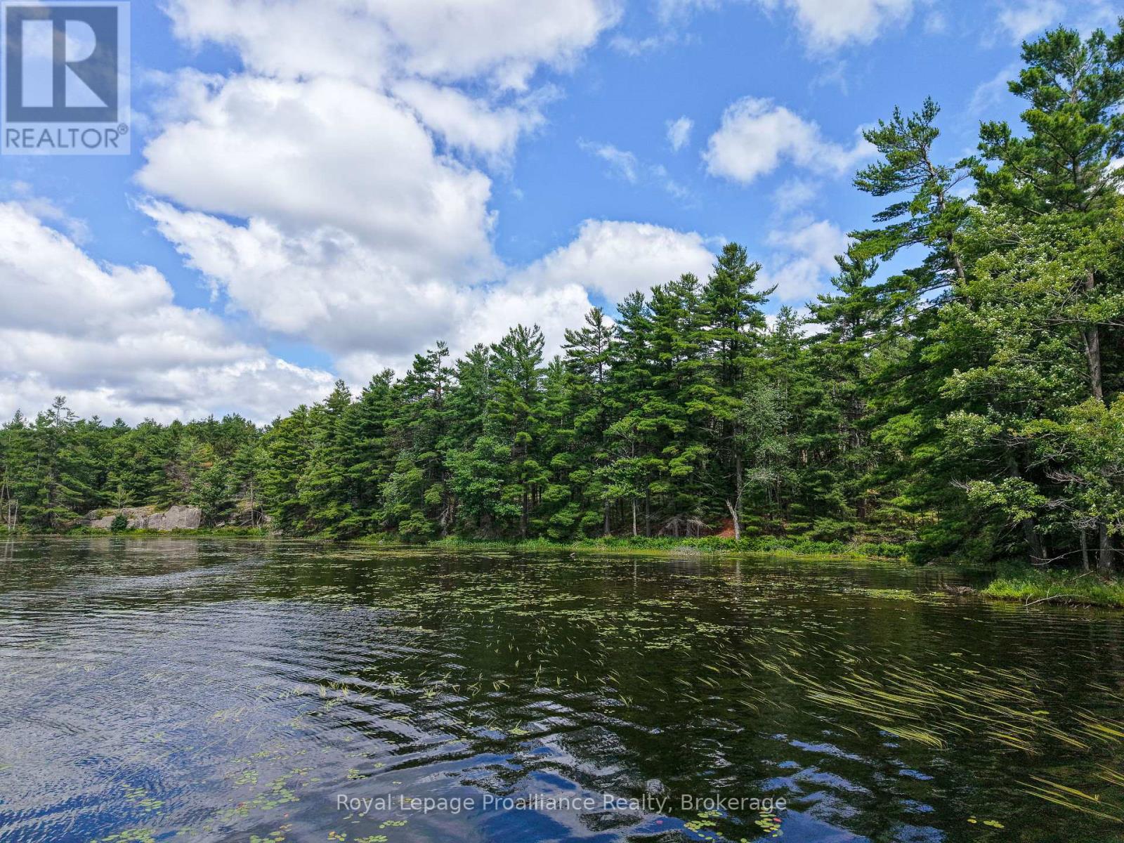 1 Wao Kasshabog Lake, Havelock-Belmont-Methuen, Ontario  K0L 2H0 - Photo 17 - X13558626