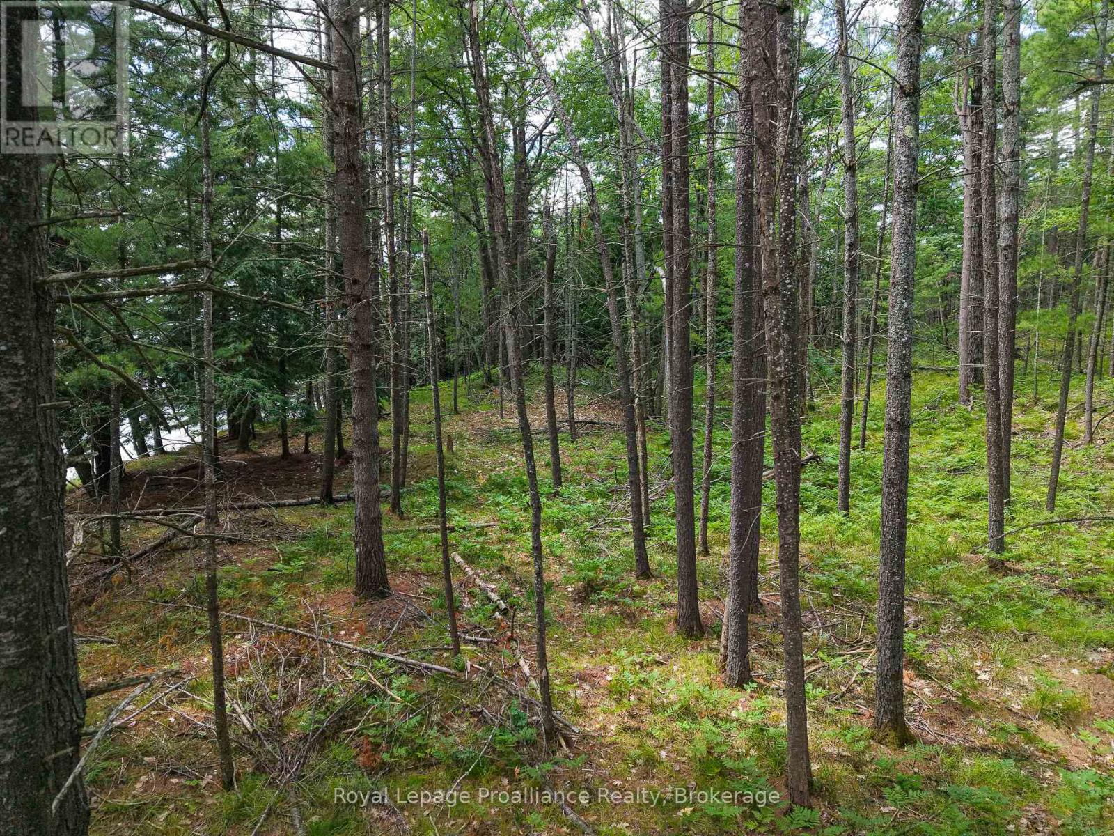 1 Wao Kasshabog Lake, Havelock-Belmont-Methuen, Ontario  K0L 2H0 - Photo 26 - X13558626