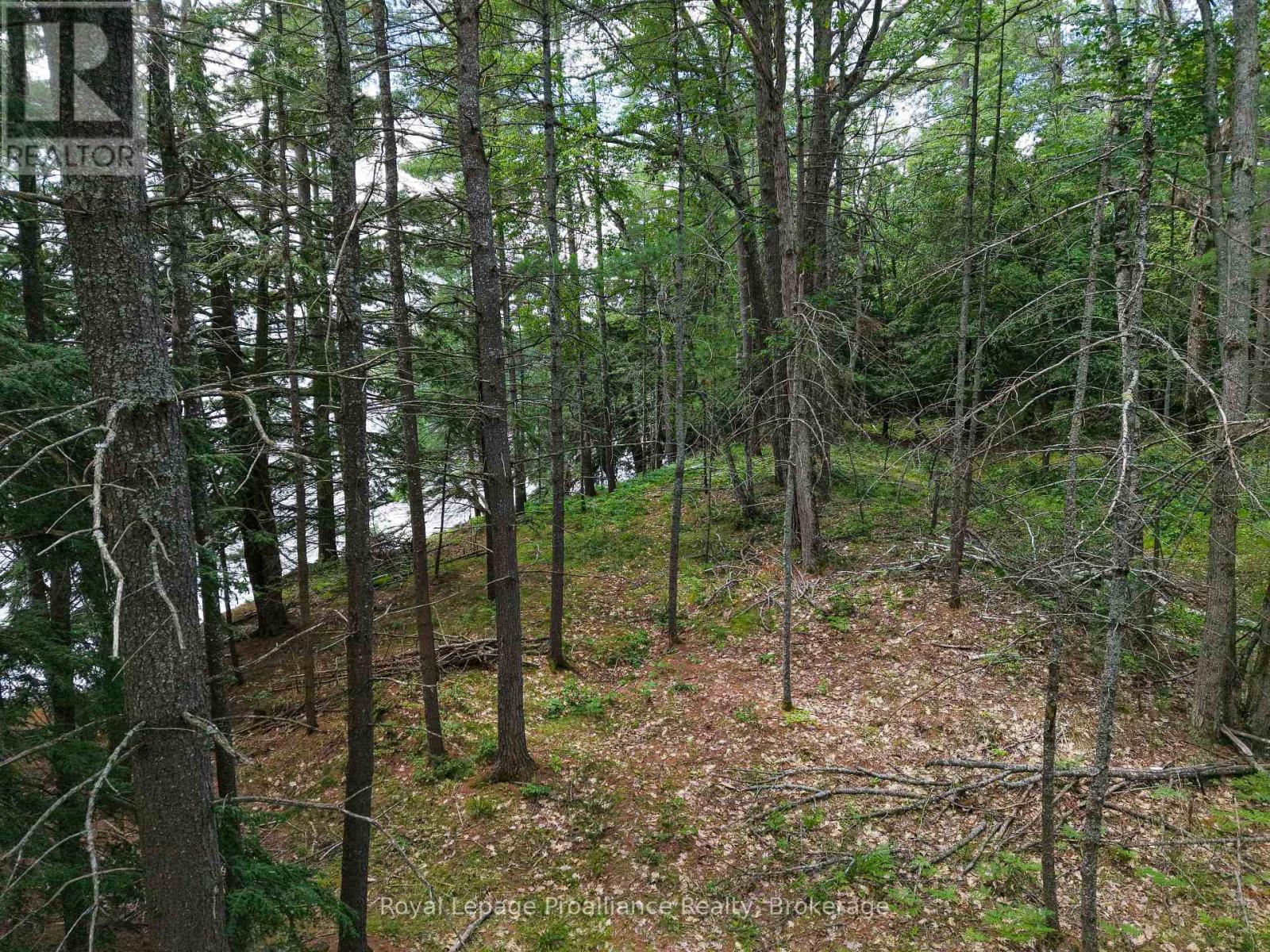 1 Wao Kasshabog Lake, Havelock-Belmont-Methuen, Ontario  K0L 2H0 - Photo 27 - X13558626