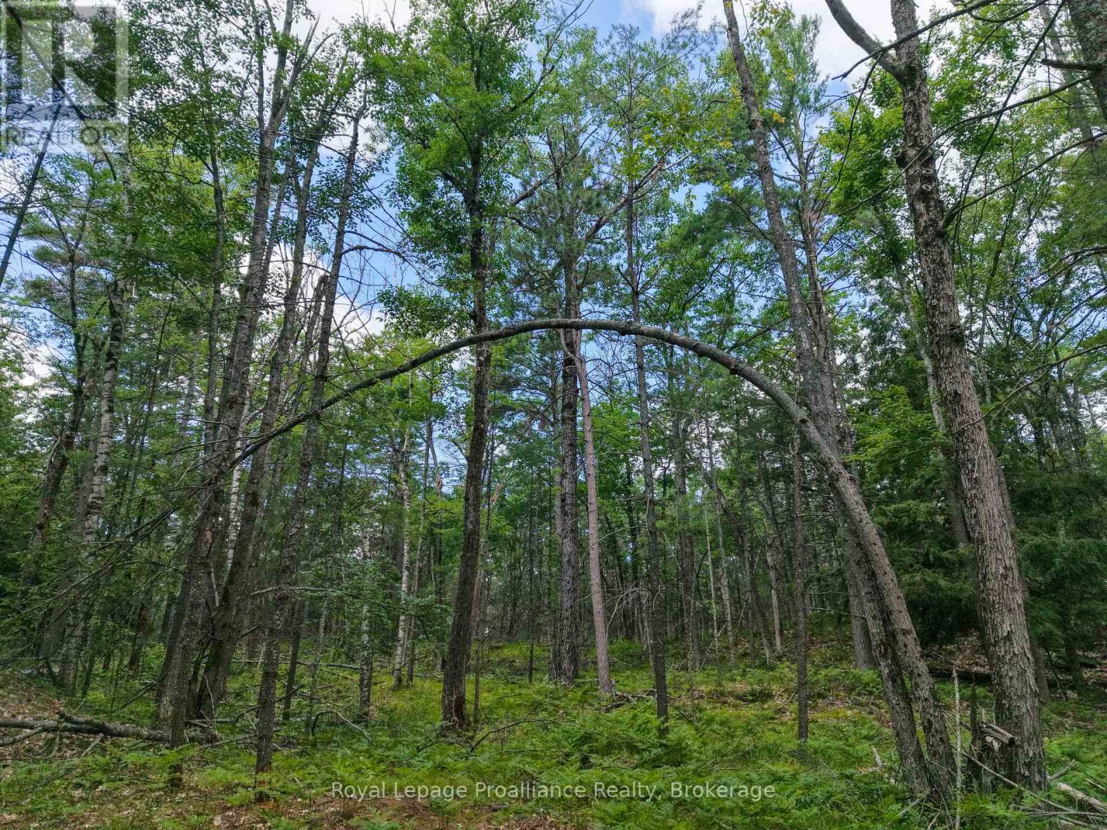1 Wao Kasshabog Lake, Havelock-Belmont-Methuen, Ontario  K0L 2H0 - Photo 28 - X13558626