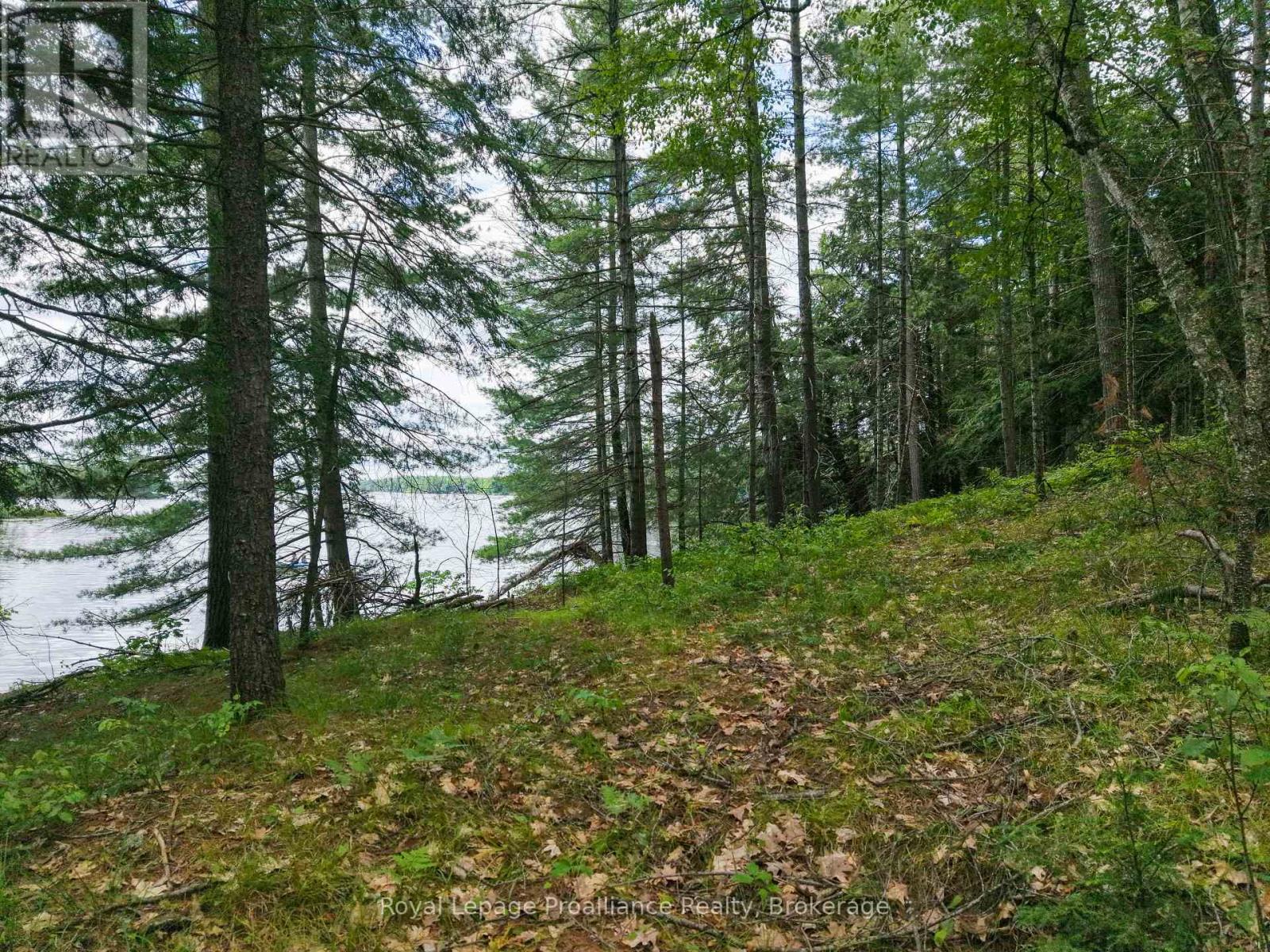 1 Wao Kasshabog Lake, Havelock-Belmont-Methuen, Ontario  K0L 2H0 - Photo 30 - X13558626