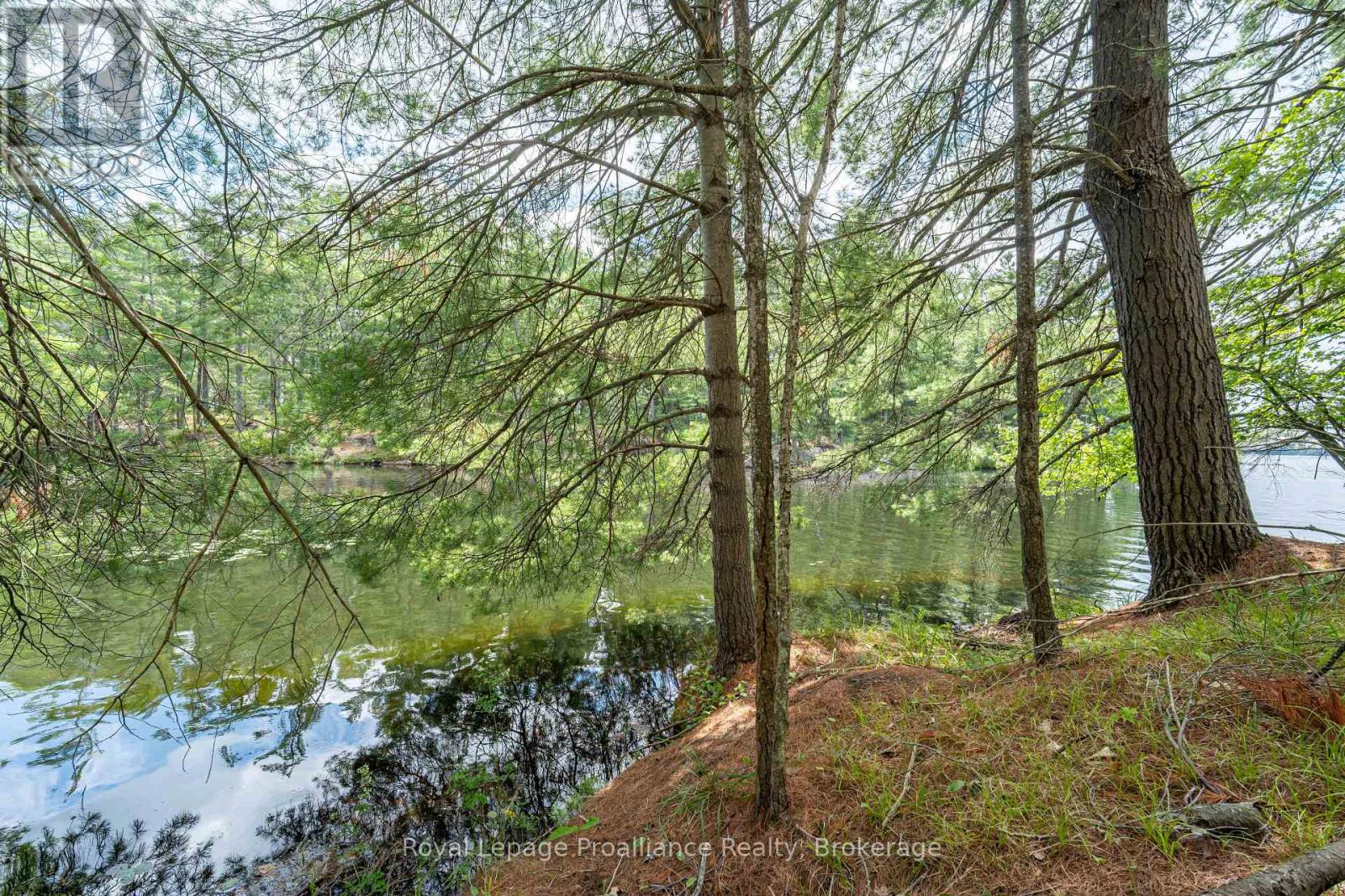 1 Wao Kasshabog Lake, Havelock-Belmont-Methuen, Ontario  K0L 2H0 - Photo 6 - X13558626