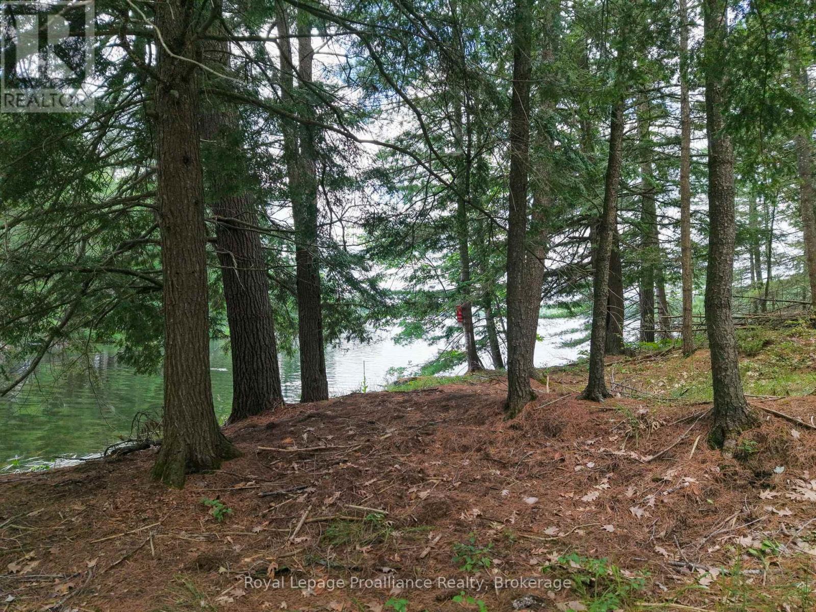 3 Wao Kasshabog Lake, Havelock-Belmont-Methuen, Ontario  K0L 2H0 - Photo 29 - X13558666