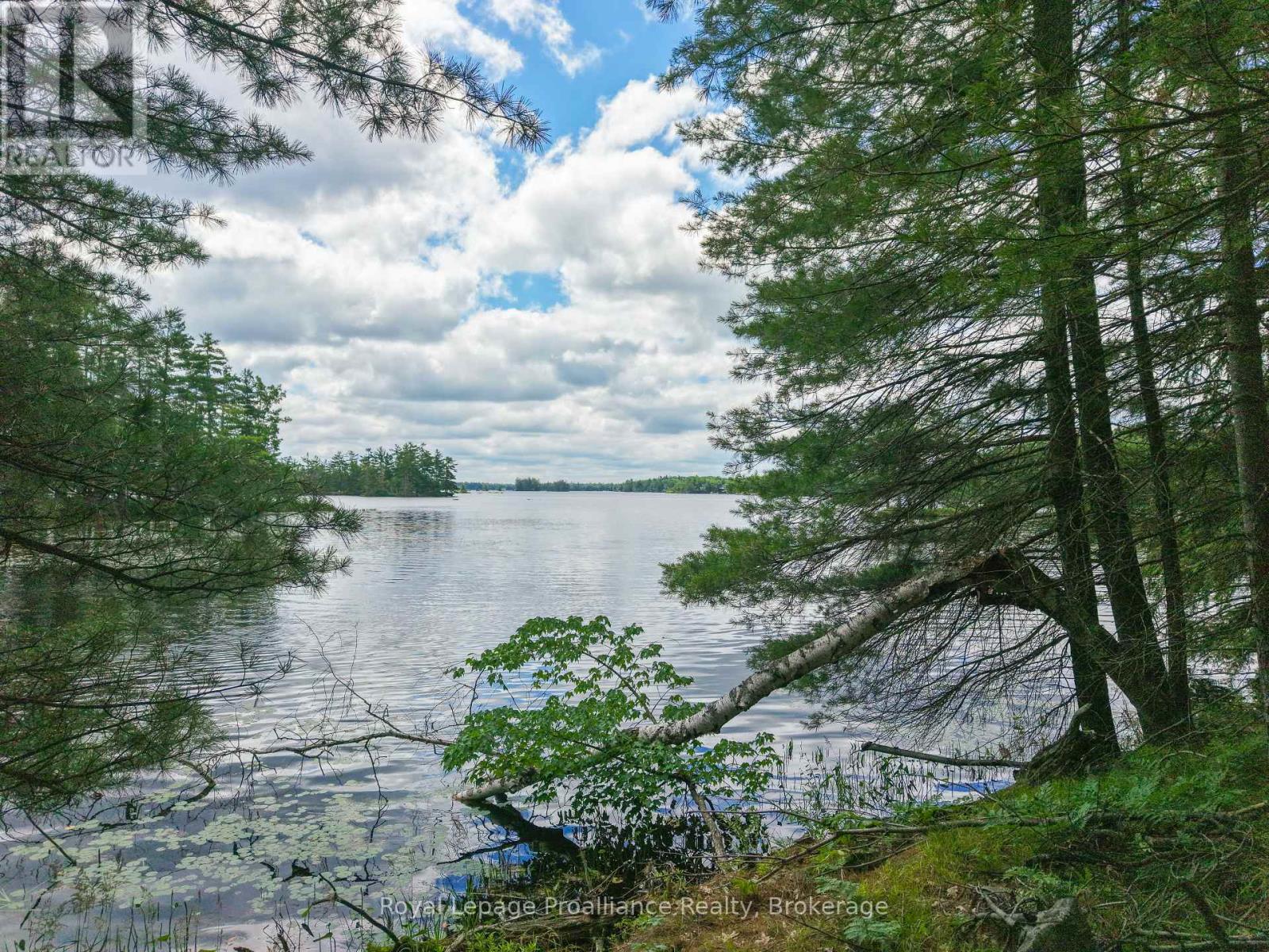 3 Wao Kasshabog Lake, Havelock-Belmont-Methuen, Ontario  K0L 2H0 - Photo 31 - X13558666