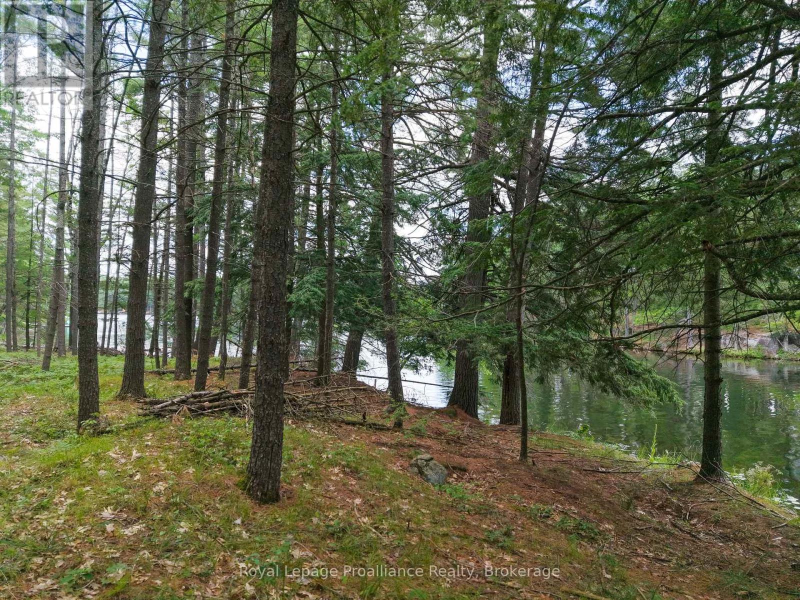 3 Wao Kasshabog Lake, Havelock-Belmont-Methuen, Ontario  K0L 2H0 - Photo 33 - X13558666