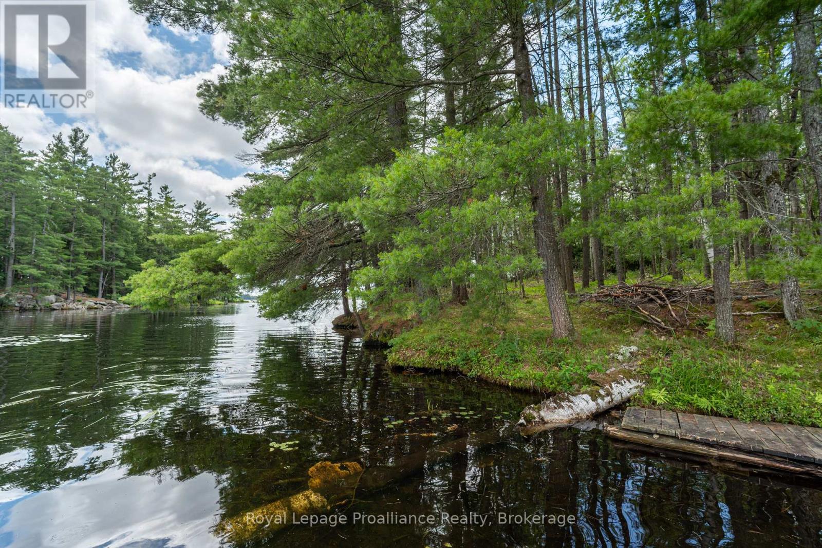 3 Wao Kasshabog Lake, Havelock-Belmont-Methuen, Ontario  K0L 2H0 - Photo 7 - X13558666