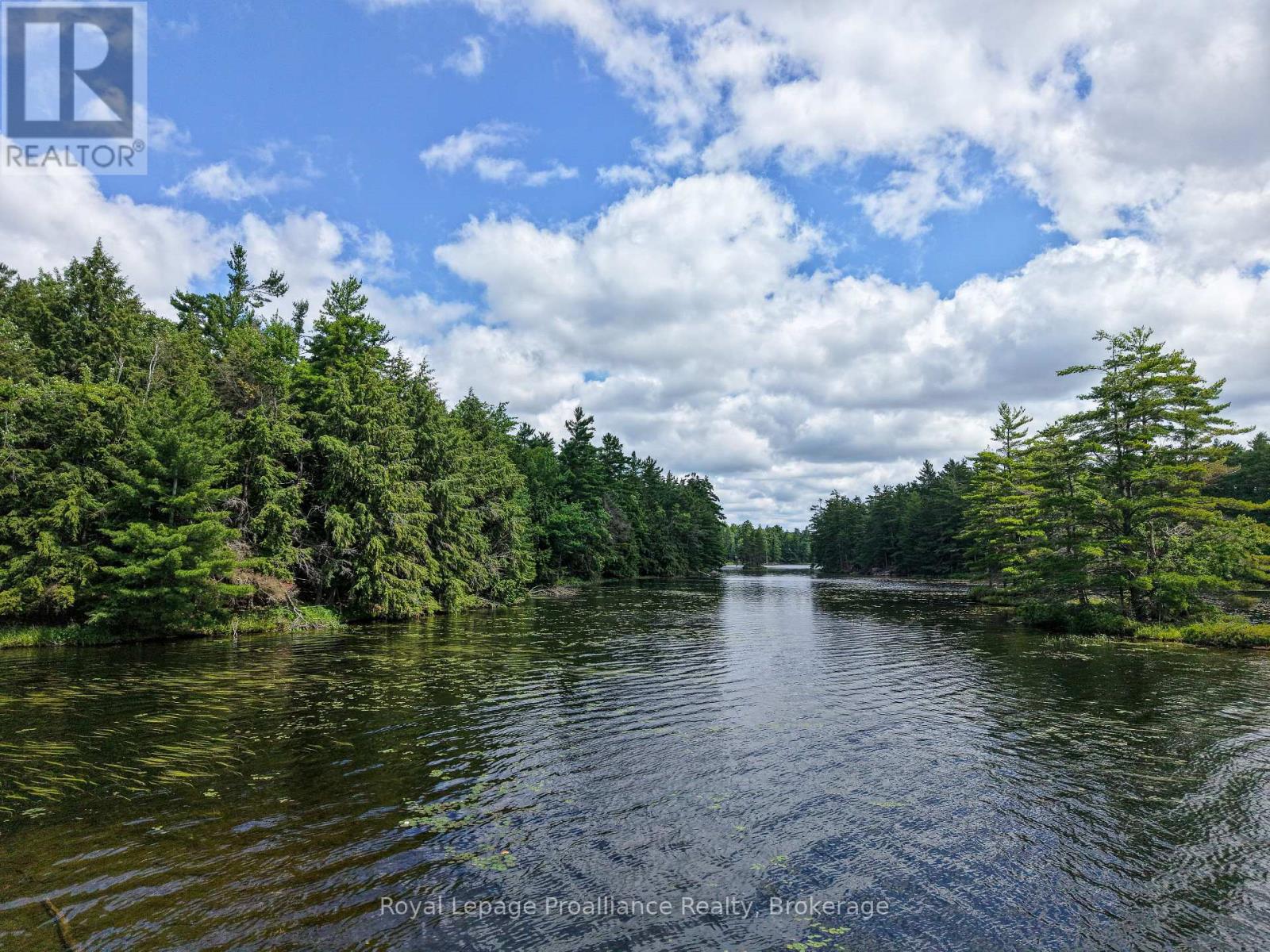 2 Wao Kasshabog Lake, Havelock-Belmont-Methuen, Ontario  K0L 2H0 - Photo 16 - X13559952