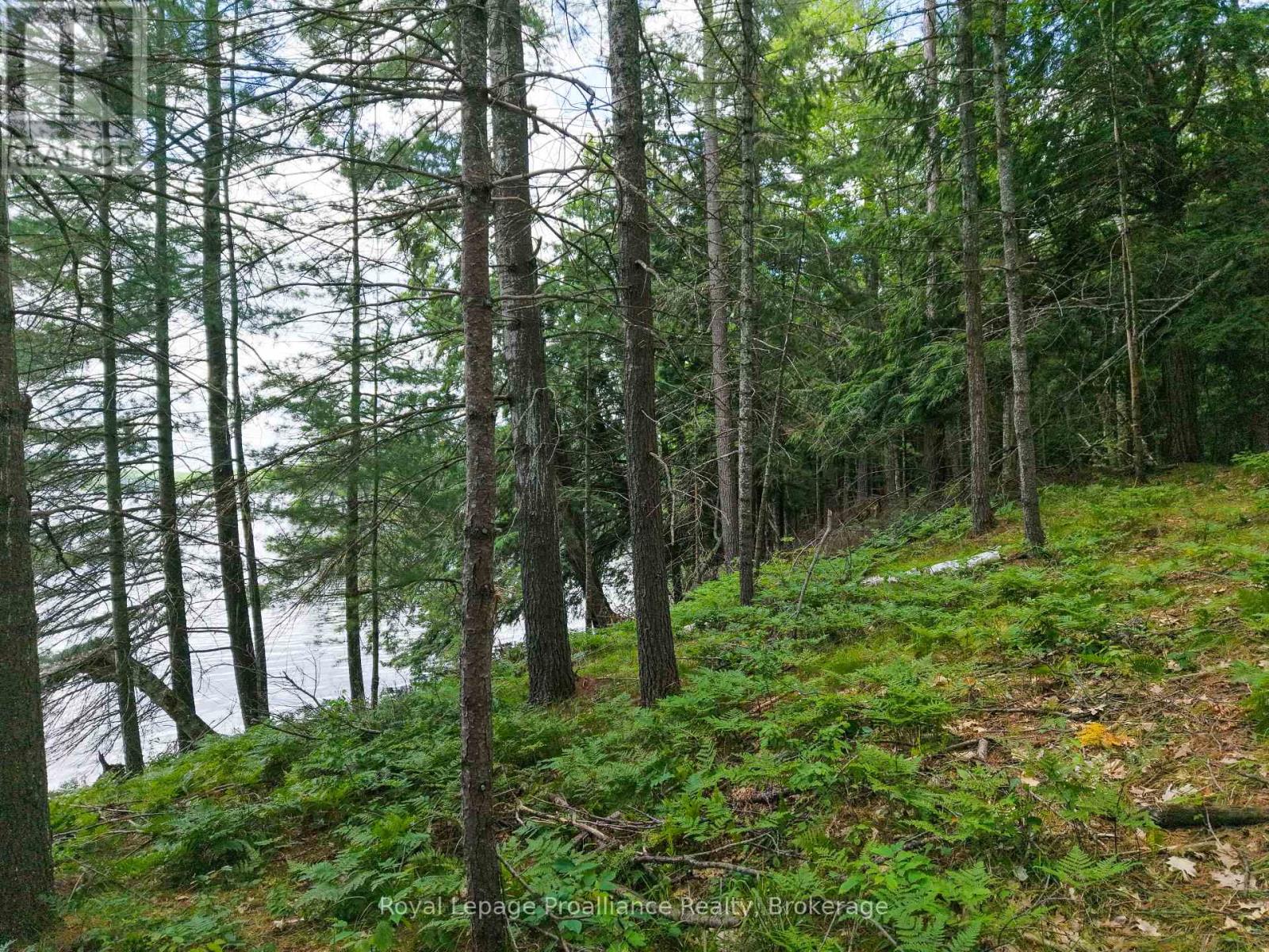 2 Wao Kasshabog Lake, Havelock-Belmont-Methuen, Ontario  K0L 2H0 - Photo 32 - X13559952