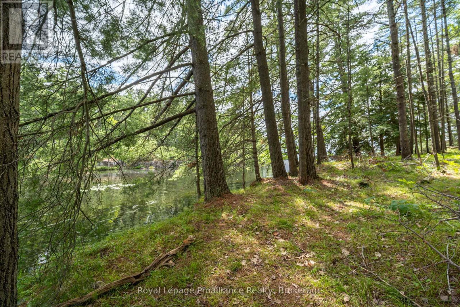 2 Wao Kasshabog Lake, Havelock-Belmont-Methuen, Ontario  K0L 2H0 - Photo 4 - X13559952