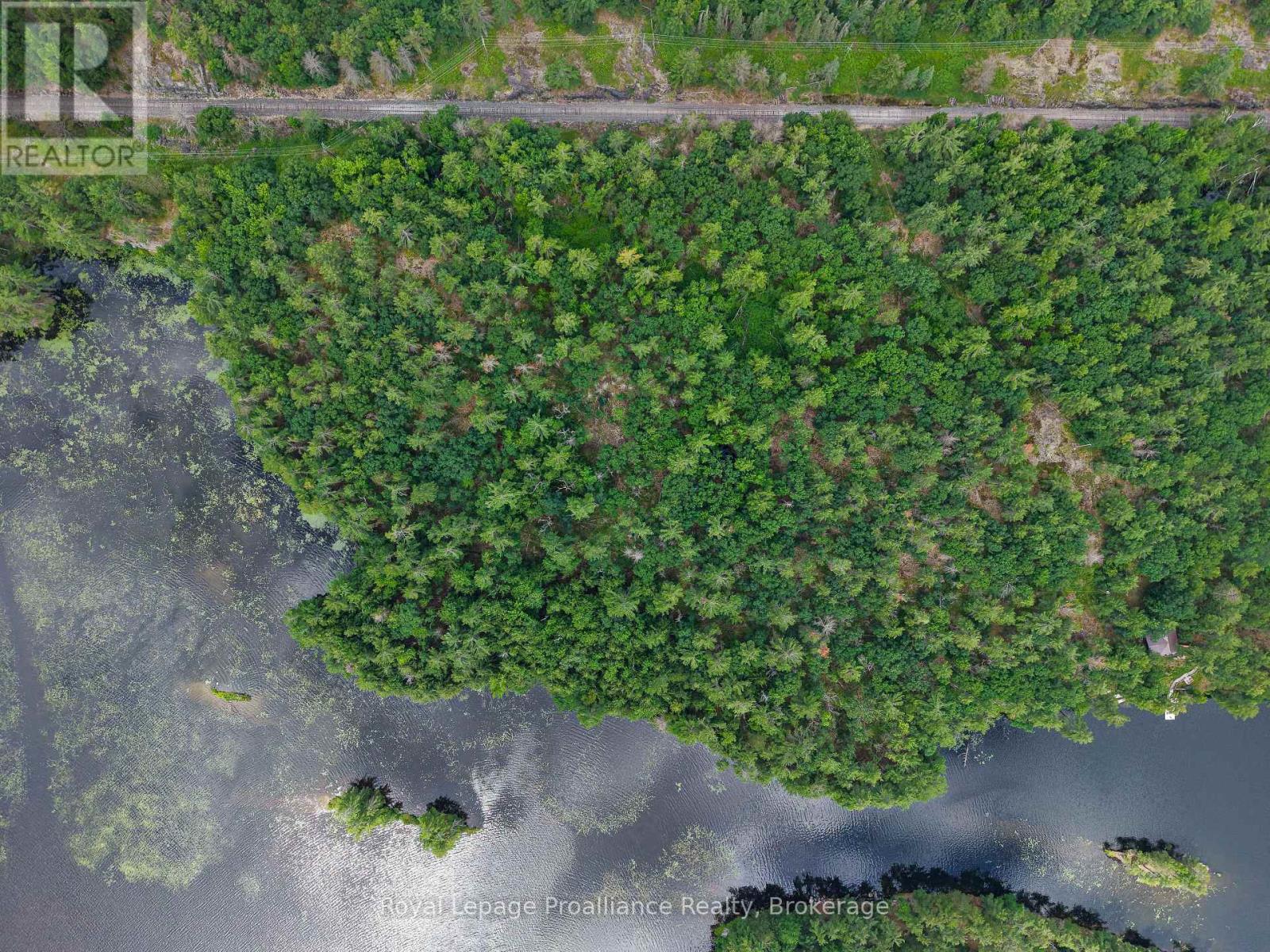 2 Wao Kasshabog Lake, Havelock-Belmont-Methuen, Ontario  K0L 2H0 - Photo 9 - X13559952