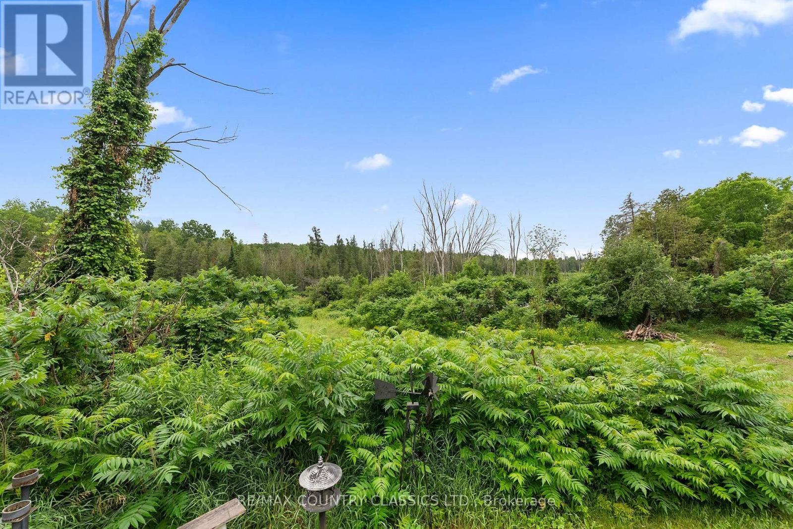 858 St Ola Road, Limerick, Ontario  K0L 1W0 - Photo 27 - X13560440