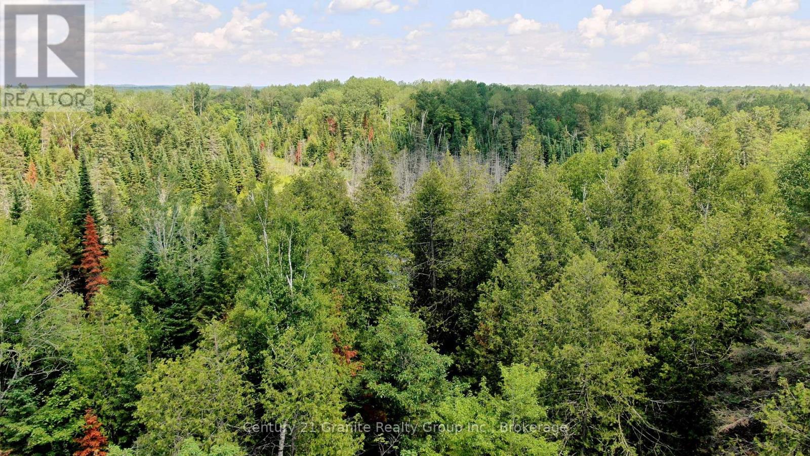 0 Old Hastings Road, Wollaston, Ontario  K0L 1C0 - Photo 3 - X13561604